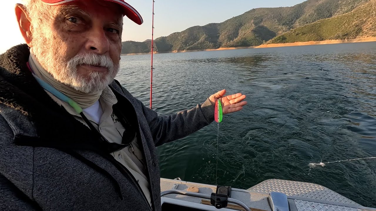 Shasta Lake Fall Trout (Sacramento River Arm)