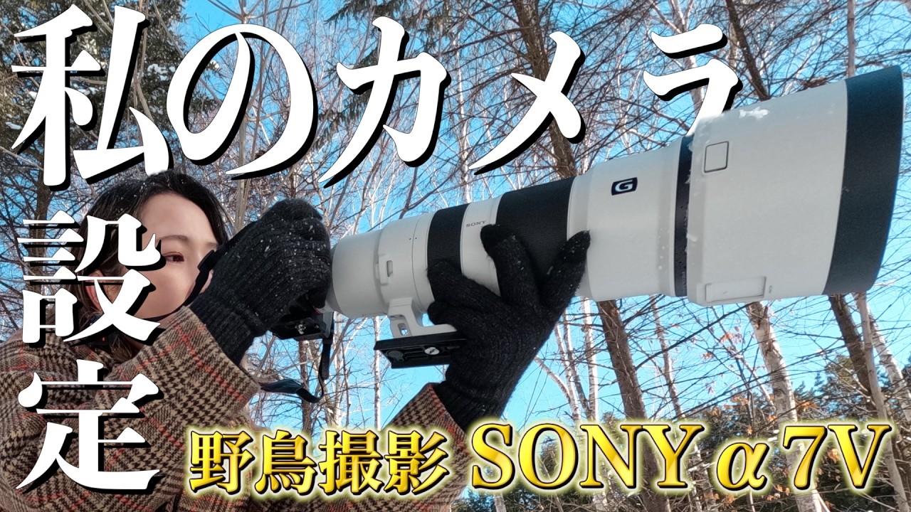 【SONYα7V】野鳥撮り初心者の私のカメラ設定！400-800mmで探鳥！