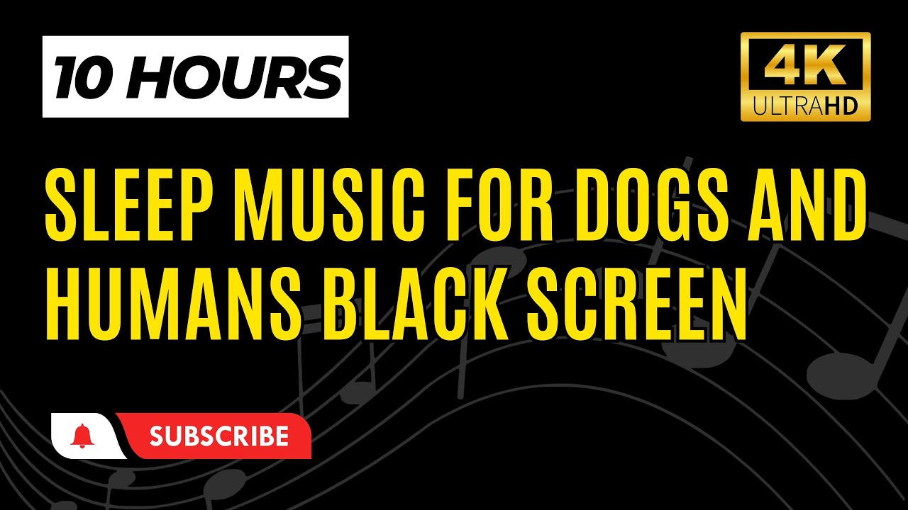 Sleep Music For Dogs and Humans Black Screen 10 Hours 🐶🎶