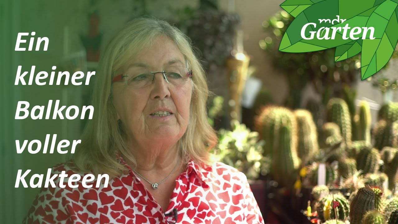 Garten-Inspiration: Kakteenwelt auf dem Balkon | MDR Garten