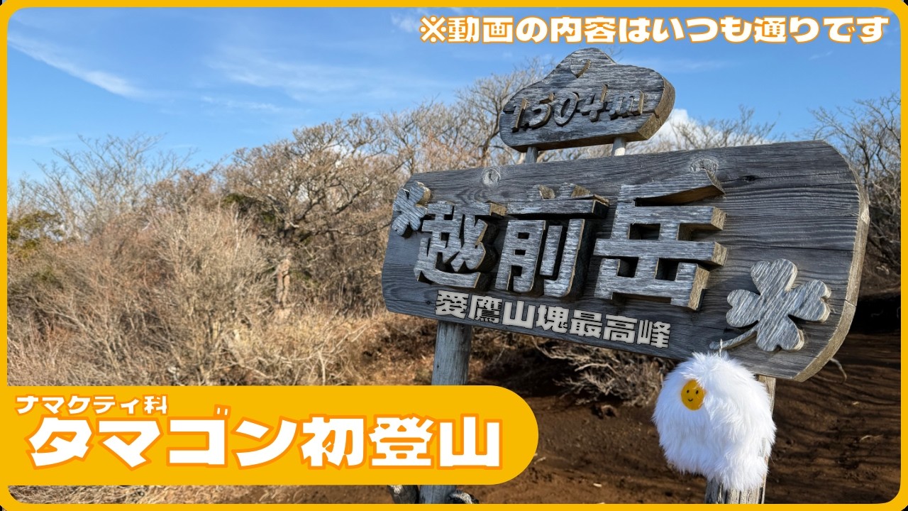 【越前岳】でタマゴンが登山デビューしました。