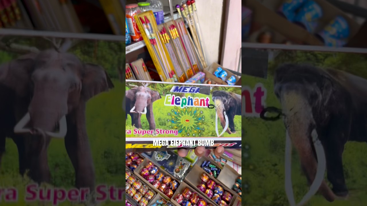Mega elephant bomb 💣 #bomb  #crackers  #shorts #bestvideo #youtubeshorts