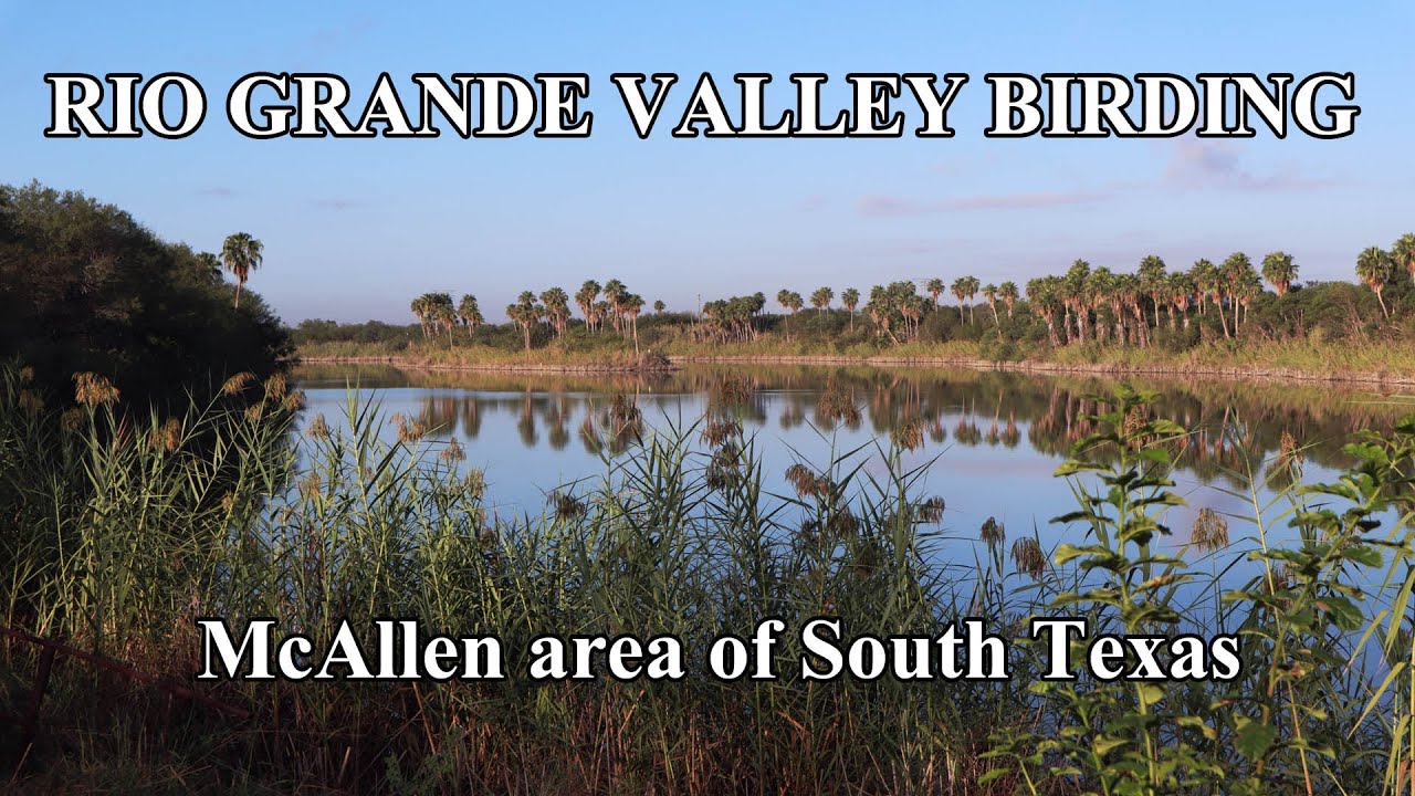 Birding the Rio Grande Valley: 30 Must See Target Birds.
