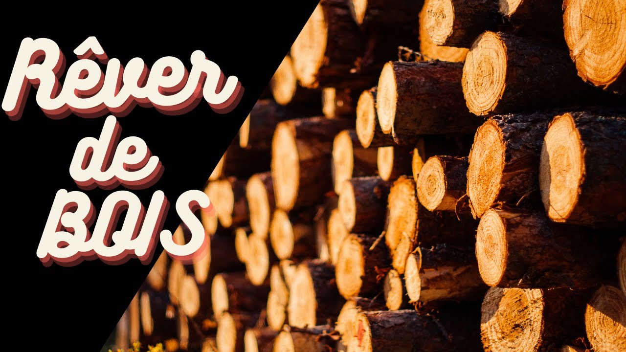 Rêver de bois | Interprétation des rêves | Dictionnaire de rêve 🌳