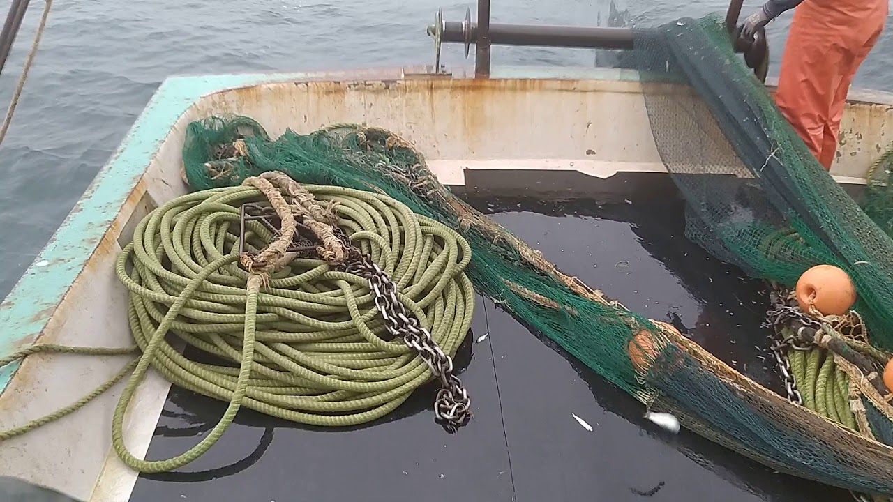 balık avı çok güzel