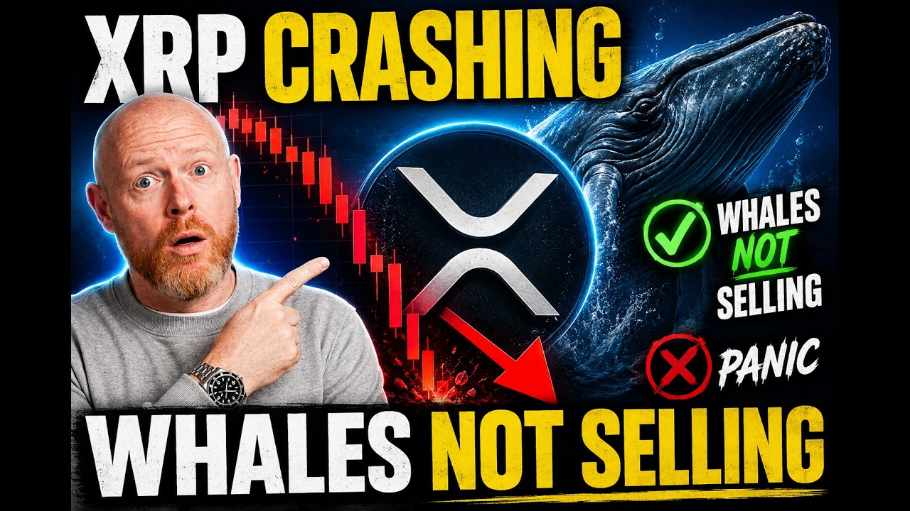 XRP Is CRASHING... But The Whales Aren't Selling
