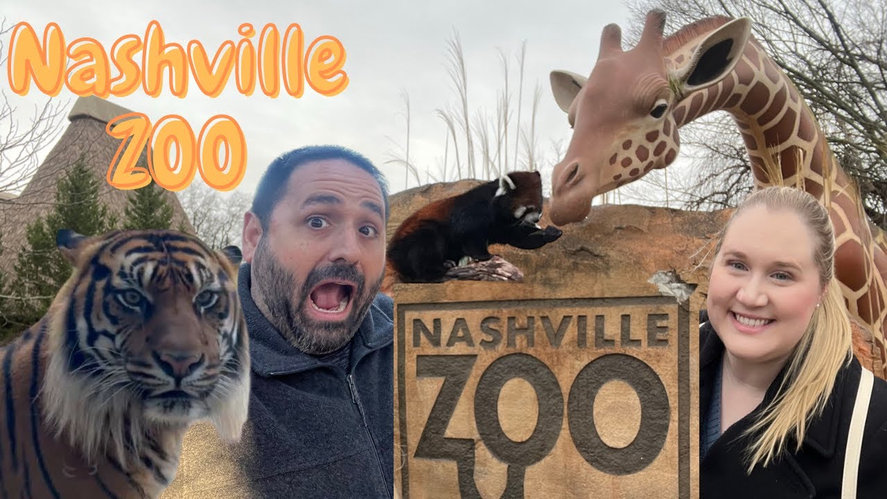 Visit the Nashville Zoo at Grassmere - Highlights from Rainy Day 2023