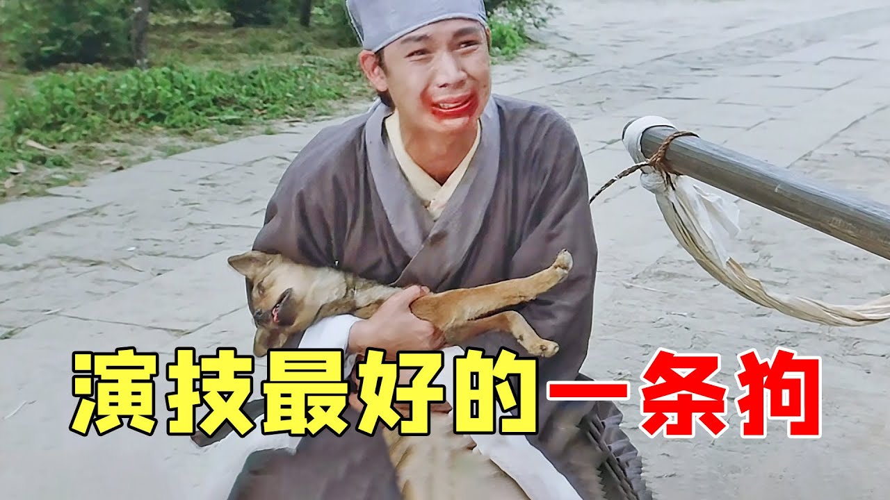 《唐伯虎点秋香》最大败笔竟是巩俐，周星驰用一个红包骗来如花李健仁