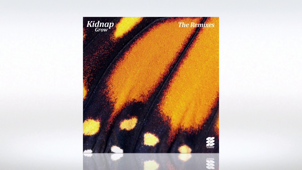 Track of the Day (22/06/2020) ~ Kidnap - Ursa Minor (Local Dialect Remix)