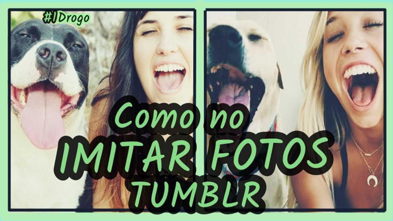 Imitando Fotos Tumblr con Mascotas |  *1 DROGO