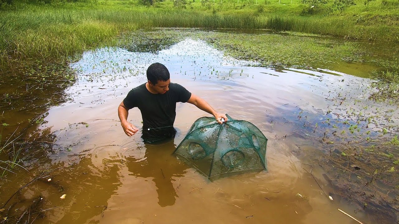 COLOCAMOS UMA ARMADILHA NO LAGO ABANDONADO - PEGAMOS PEIXES ORNAMENTAIS