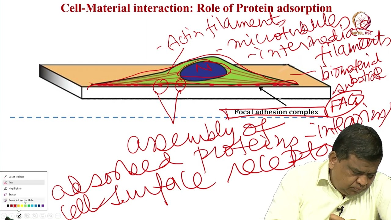 Lec 30 Introduction to biological system