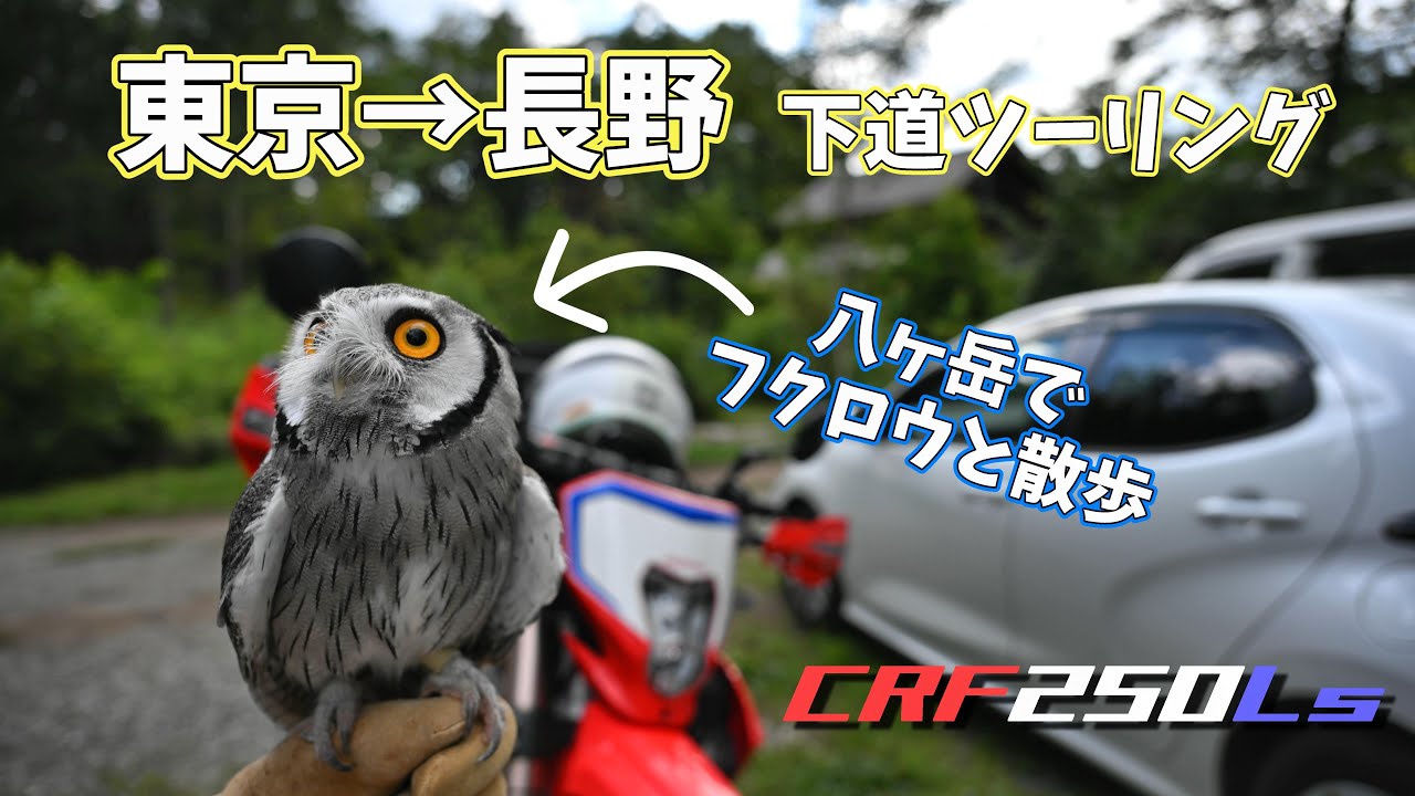 【CRF250L】フクロウと戯れつつ下道で東京から松本までトコトコツーリング