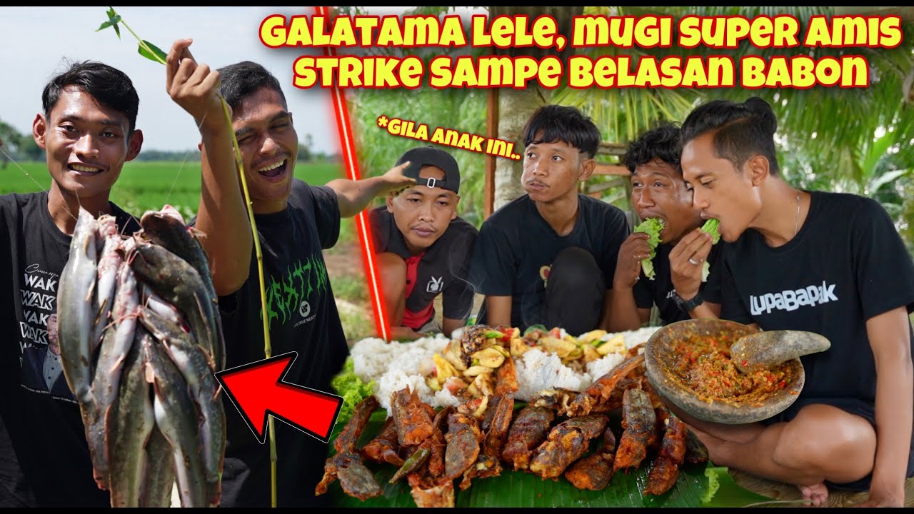 MUGI SUPER AMIS LOMBA MANCING LELE SAMPE STRIKE BELASAN EKOR & LANGSUNG OLAH