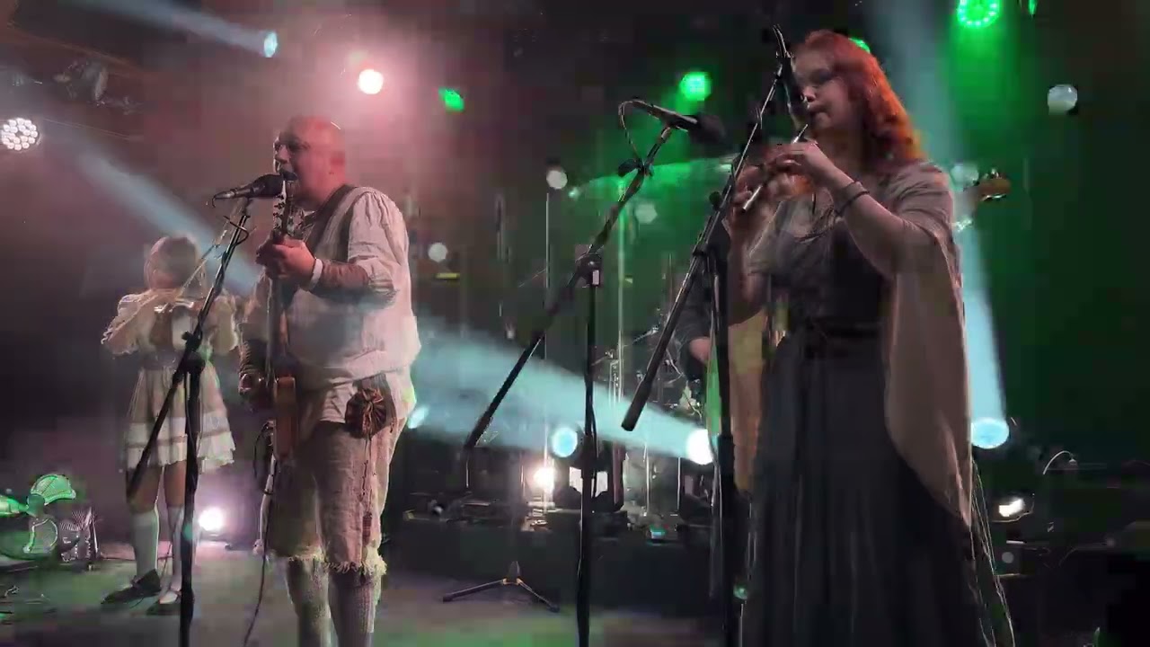 Тролль гнет ель | День святого патрика (live Sherwood pub 22.02.2026)