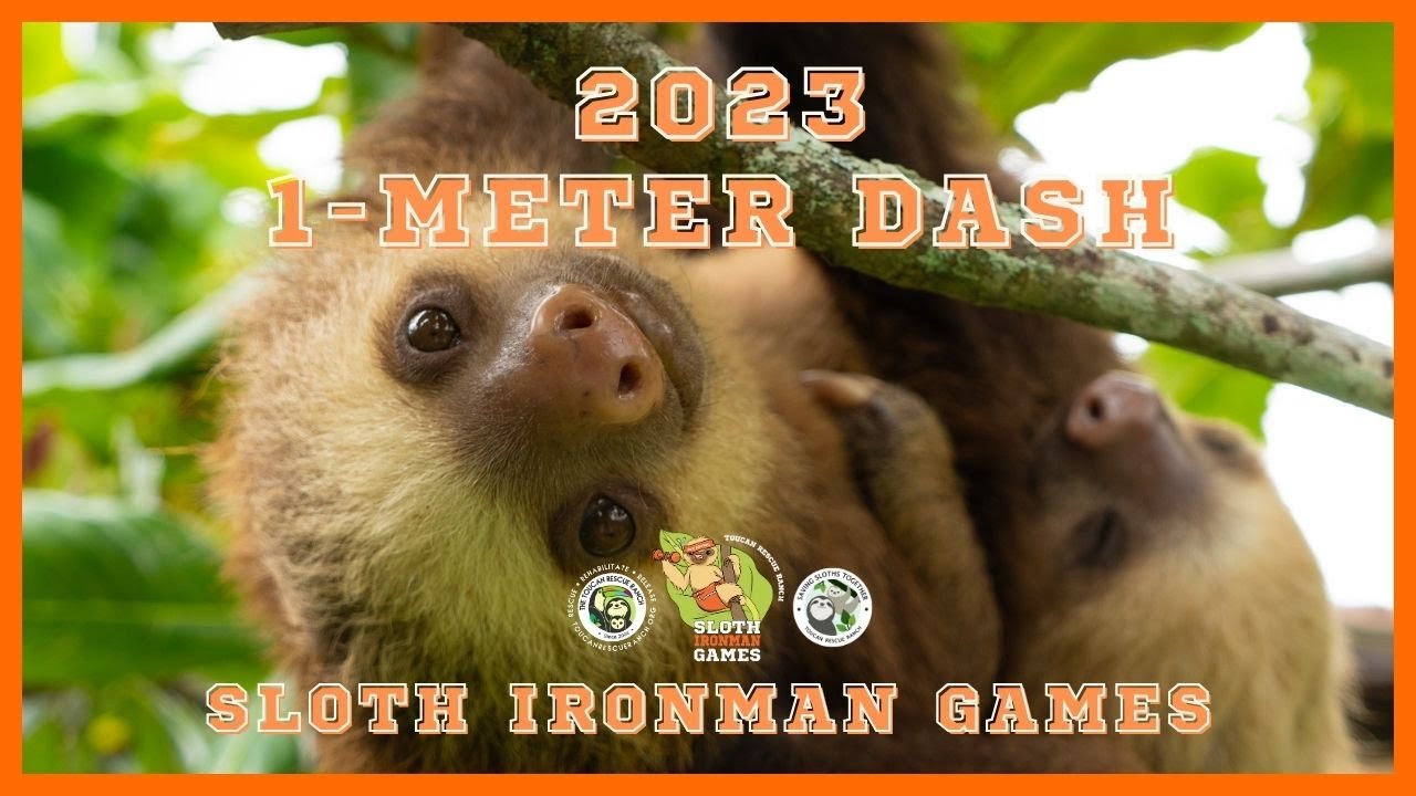 GAME 1: 1-Meter Dash | 2023 Sloth Ironman Games