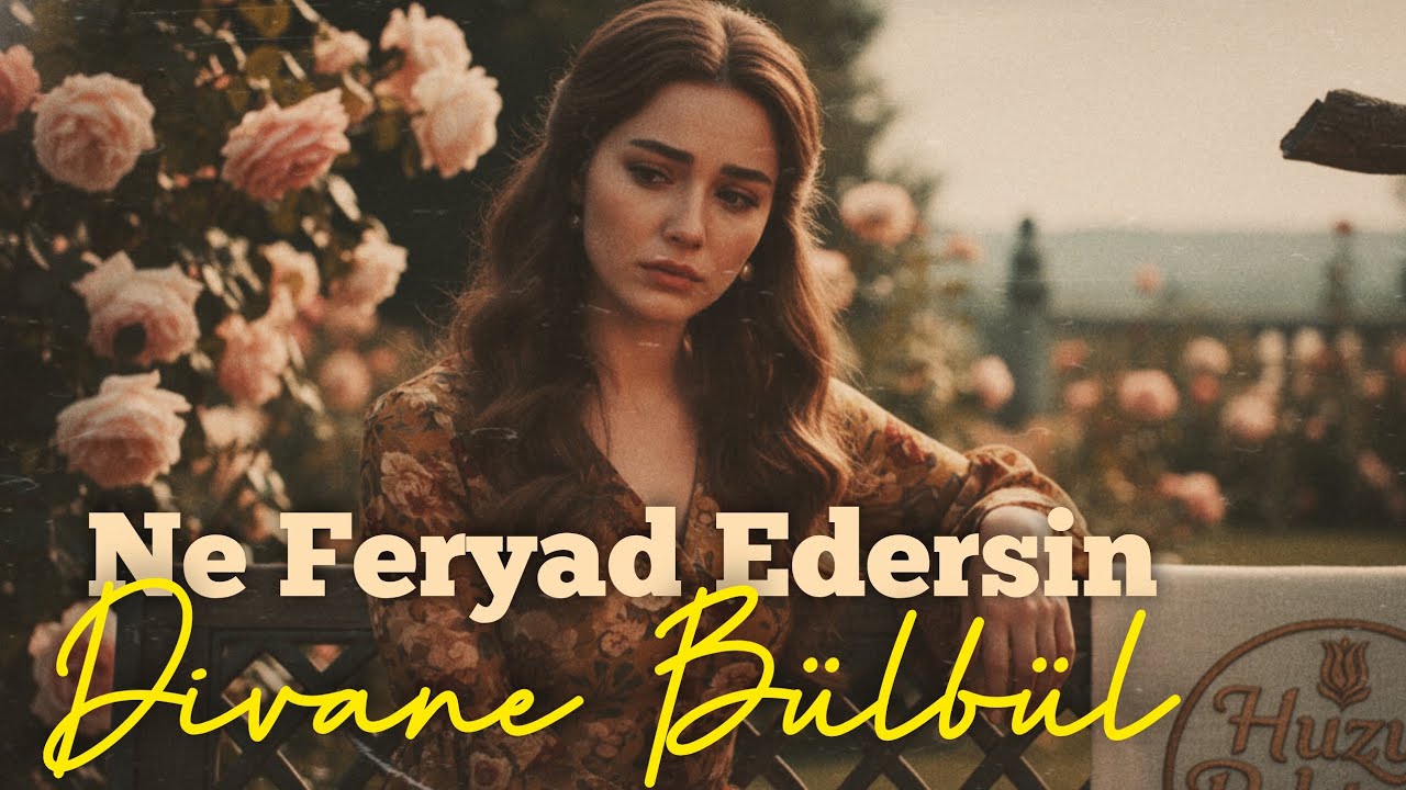 Ne Feryad Edersin Divane Bülbül | Psychedelic Anatolian Rock Cover