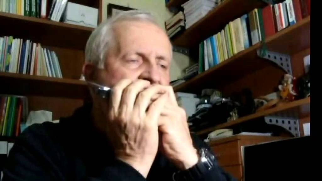 STENKA RAZIN (Из-за острова на стрежень) - HARMONICA
