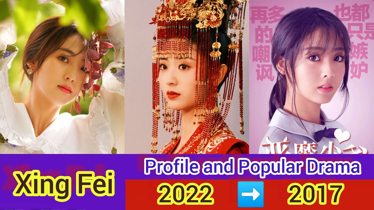 Xing Fei 邢菲 (Profile and Popular Drama List 2022-2017)