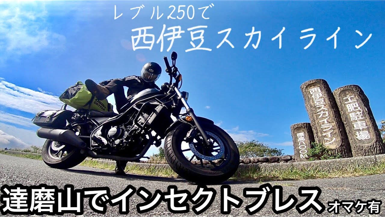 レブル250西伊豆スカイライン　初心者キャンパーが初ソロに出陣　達磨山に舐めプ登山でインセクトブレス　オマケ有り