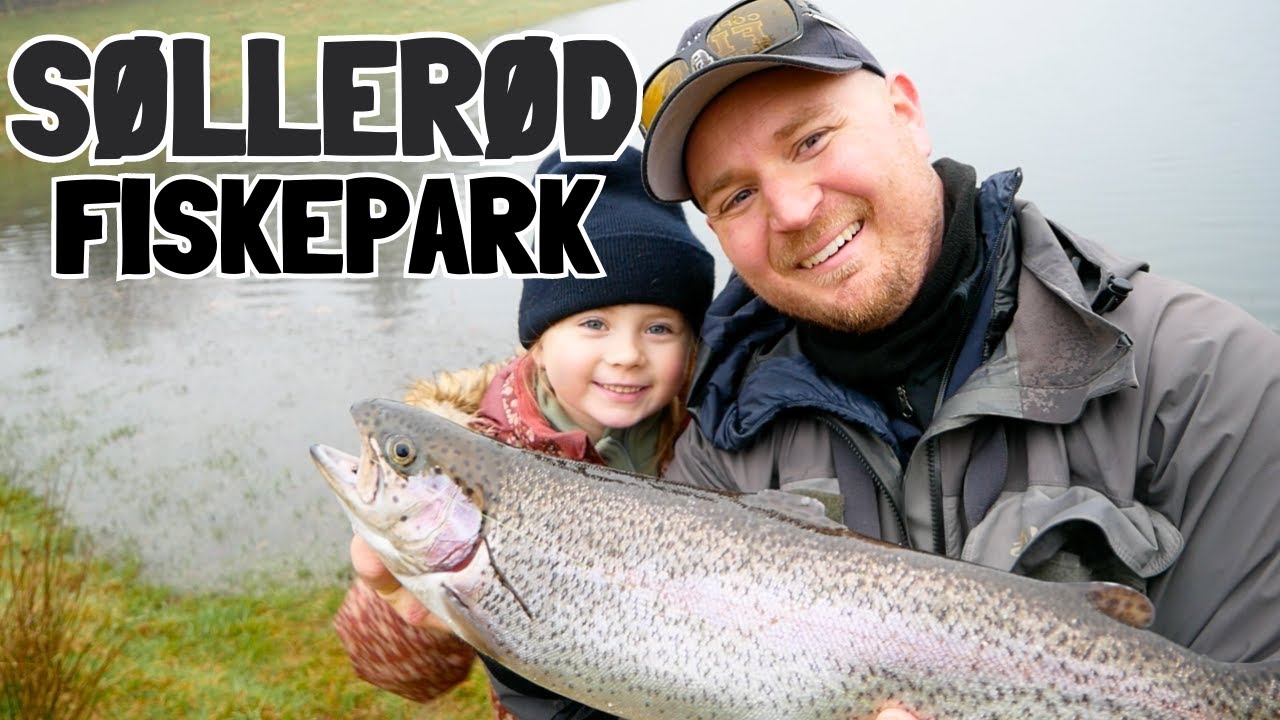 Søllerød Fiskepark Genåbner I Nordsjælland: Flot natur, Ny Ejer  Og Masser Af Fisk