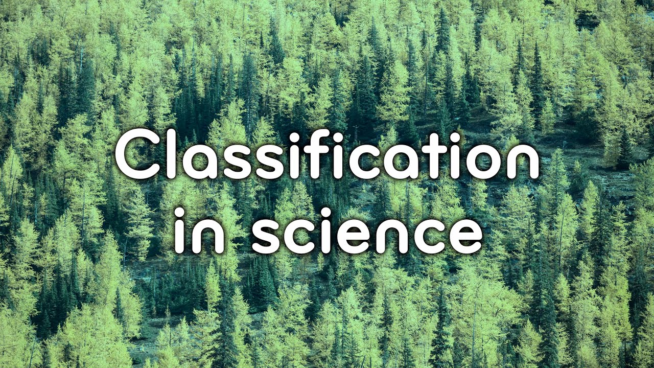 Classification in science | Guillaume Lecointre | Zoologist and Systematician
