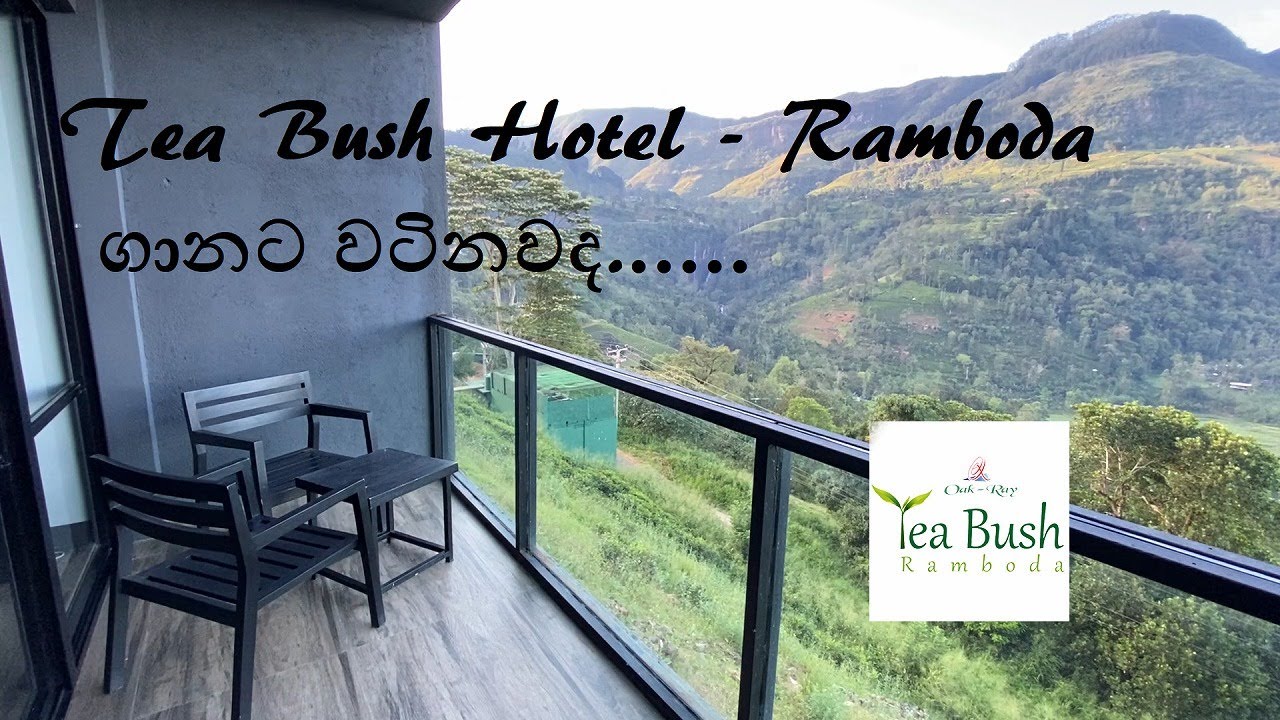Tea Bush Hotel - Ramboda ගානට වටිනවද....???
