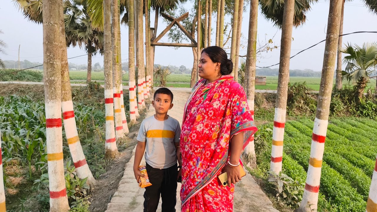 শুভ বিকেলে স্বাগতম 🌿 আমাদের গ্রামের অপূর্ব সৌন্দর্য দেখুন | village lifestyle vlog