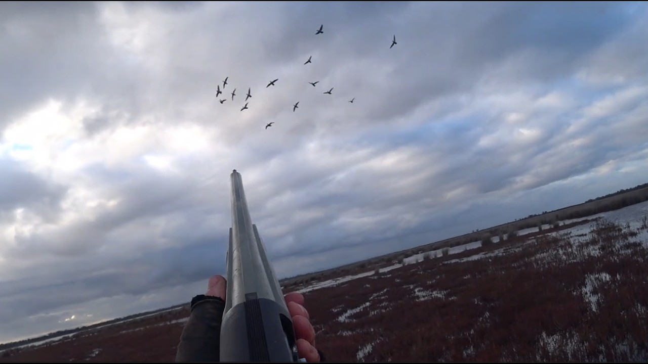 Duck Hunting Victoria | Duck Season 2025 | Duck Hunting Australia