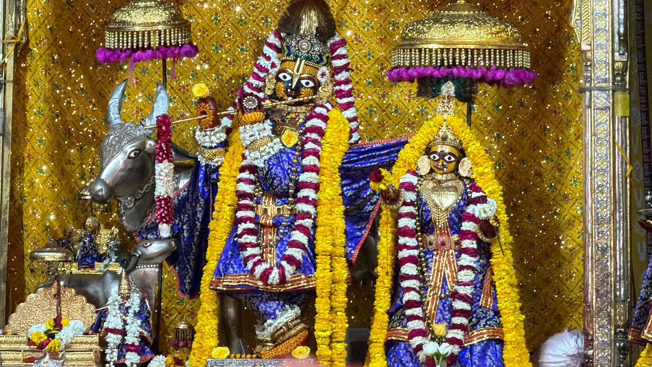 Shri Govind Dev Ji ki Gwal Jhanki श्री गोविन्द देव जी की ग्वाल आरती #07_march_2026 #saturday #jaipur