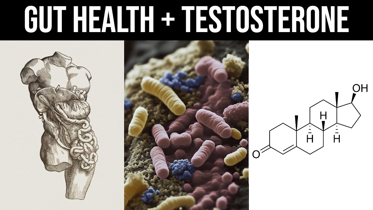 Your Gut Health Might Be Causing Low Testosterone