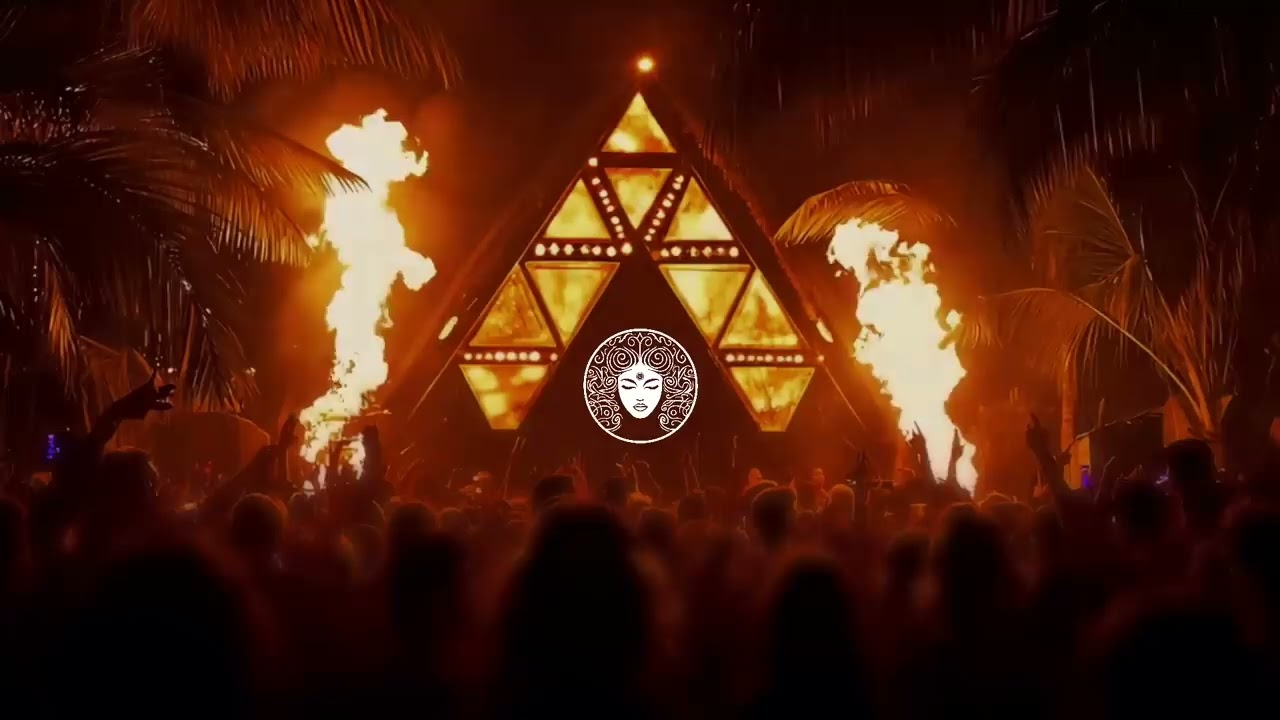 Sean Paul - Get Busy (SENATVS Afro House Remix)