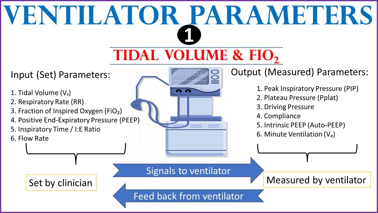 Ventilator Parameters & Settings (Tidal volume, FiO2)
