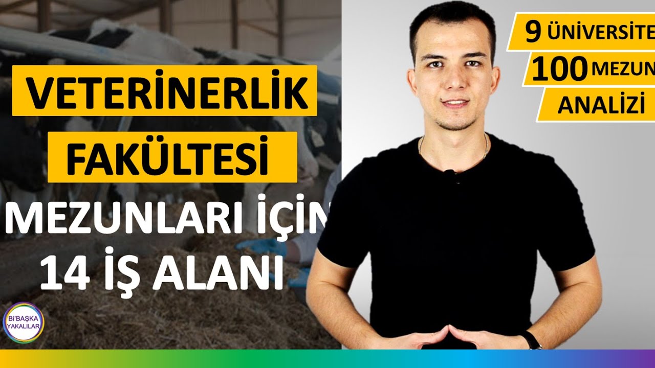 Veteriner Hekimlik | Veterinerlik Fakültesi | Dersleri, İş İmkanları ve Geleceği