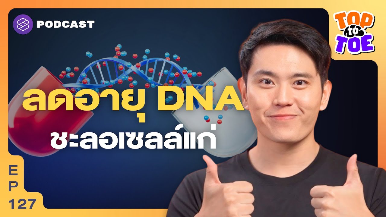 เทคนิคดูแลเซลล์ ลดอายุ DNA เพิ่ม Healthspan ให้ชีวิต | Top to Toe EP.127