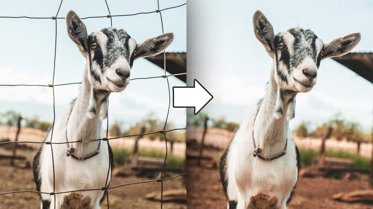 Remove Fence from Photo using Photopea | Photopea Tutorial | Browser Photoshop