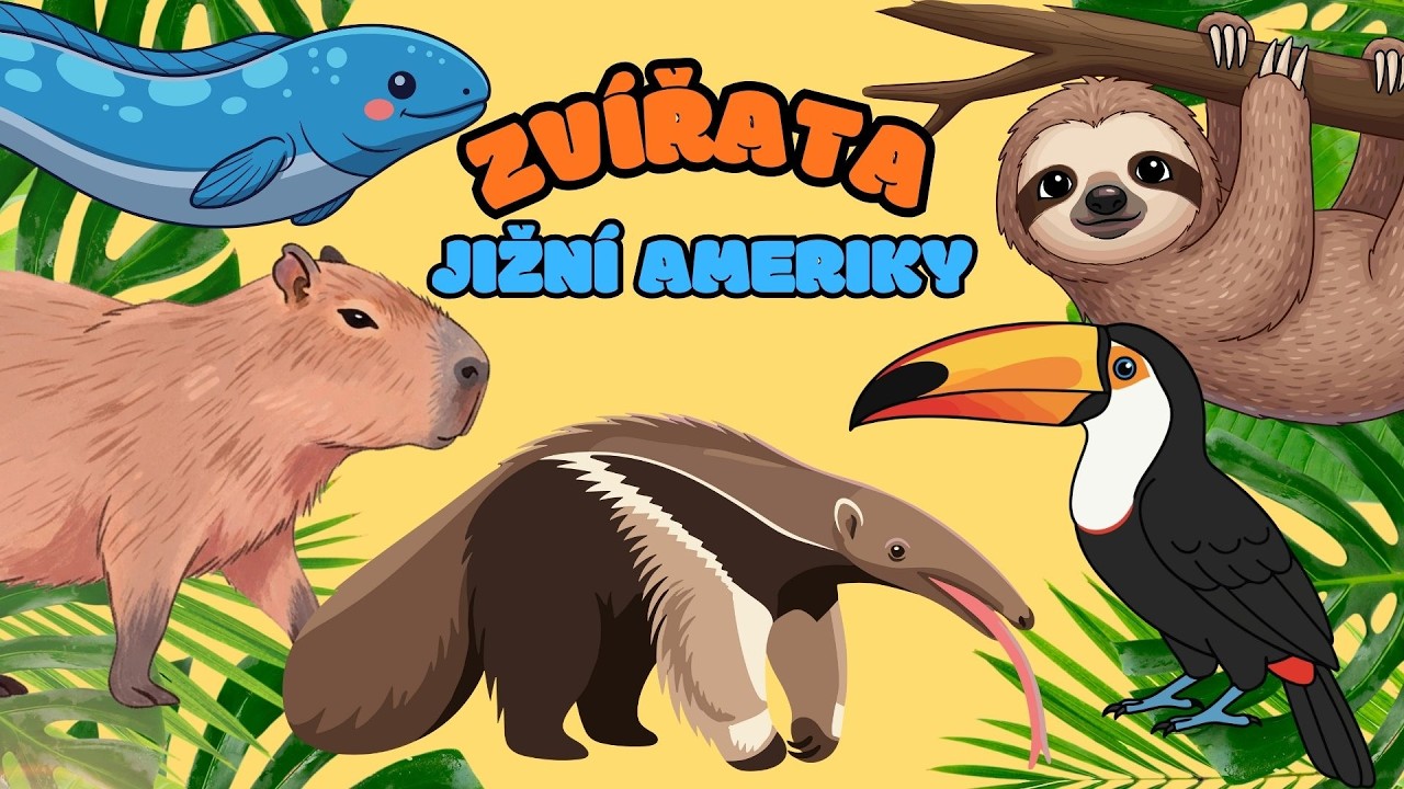 🦜ZVÍŘATA JIŽNÍ AMERIKY | Hádej stíny zvířat | Zábavné vzdělávací video pro děti | Hádanky pro děti 🐒