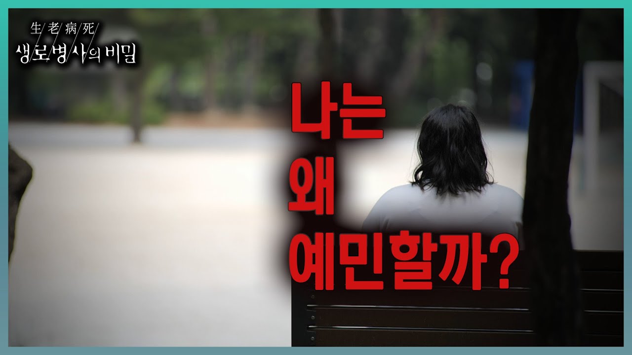📌방송 하이라이트📌OECD 국가 중 우울증 발생률 1위는 대한민국. 조금 예민하다고만 생각했지만 우울증일 수 있는 이유와 극복 방법은 무엇일까ㅣKBS 20230816 방송