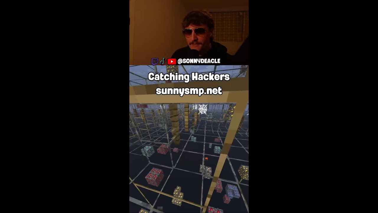 Catching hackers on sunnysmp.net (Portrait) (Portrait)