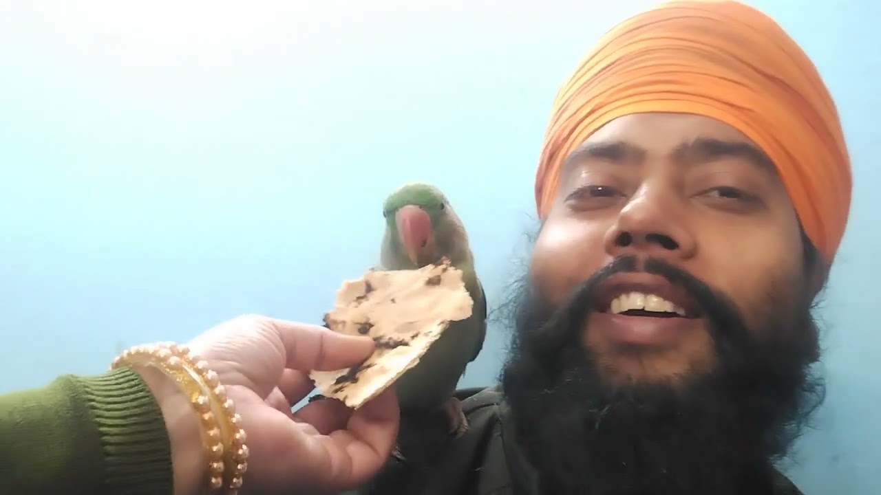 #papa ne nudal khilaye