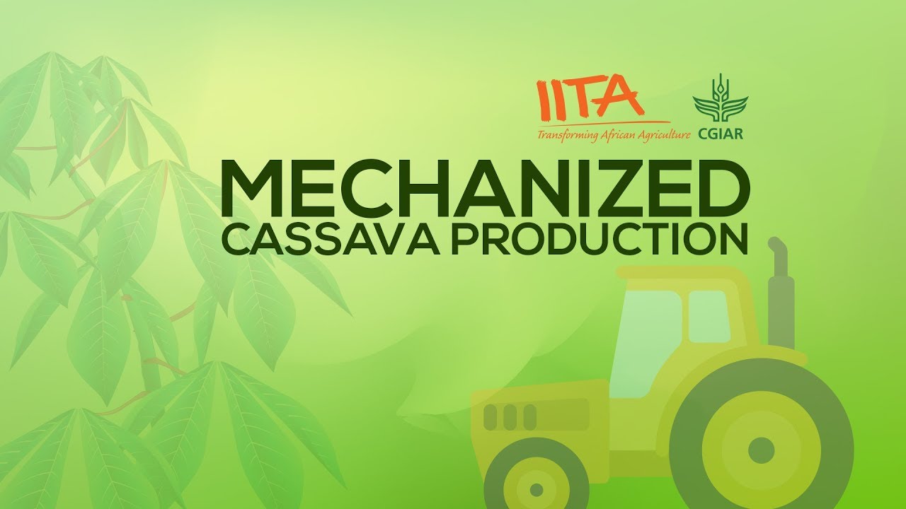 Mechanized Cassava Production