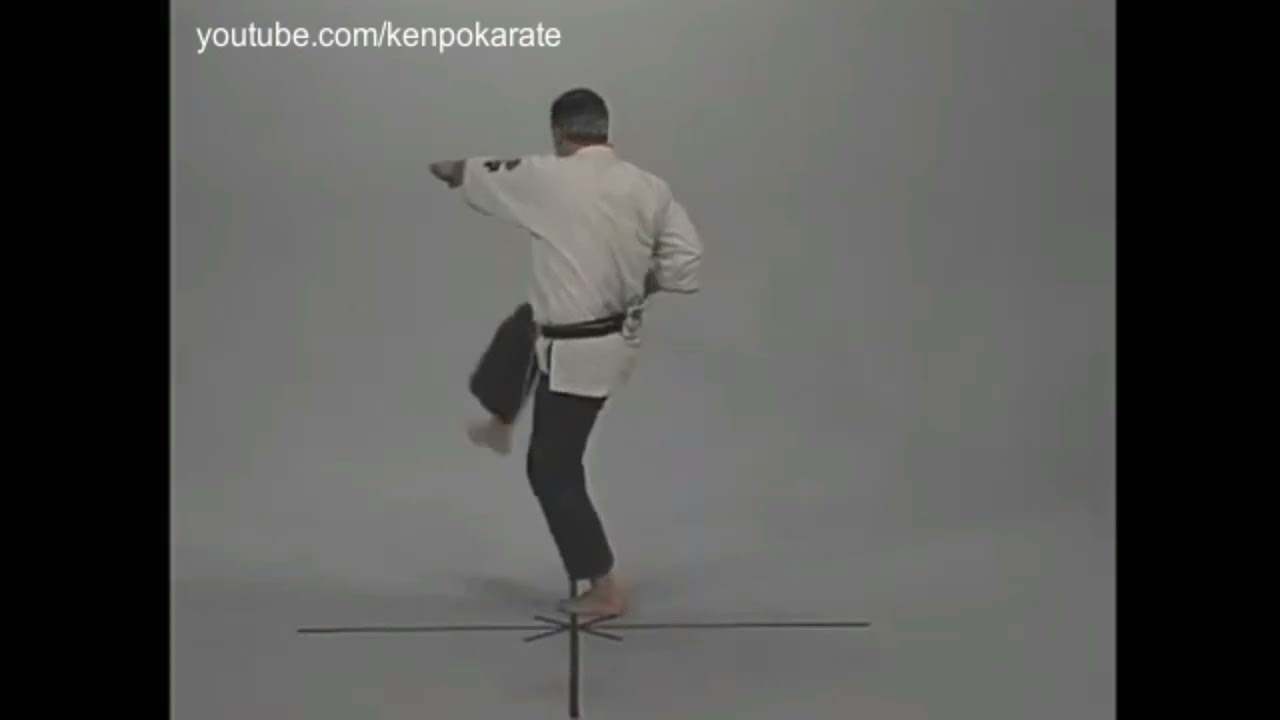 Long Form Two | Kenpo Karate | Huk Planas