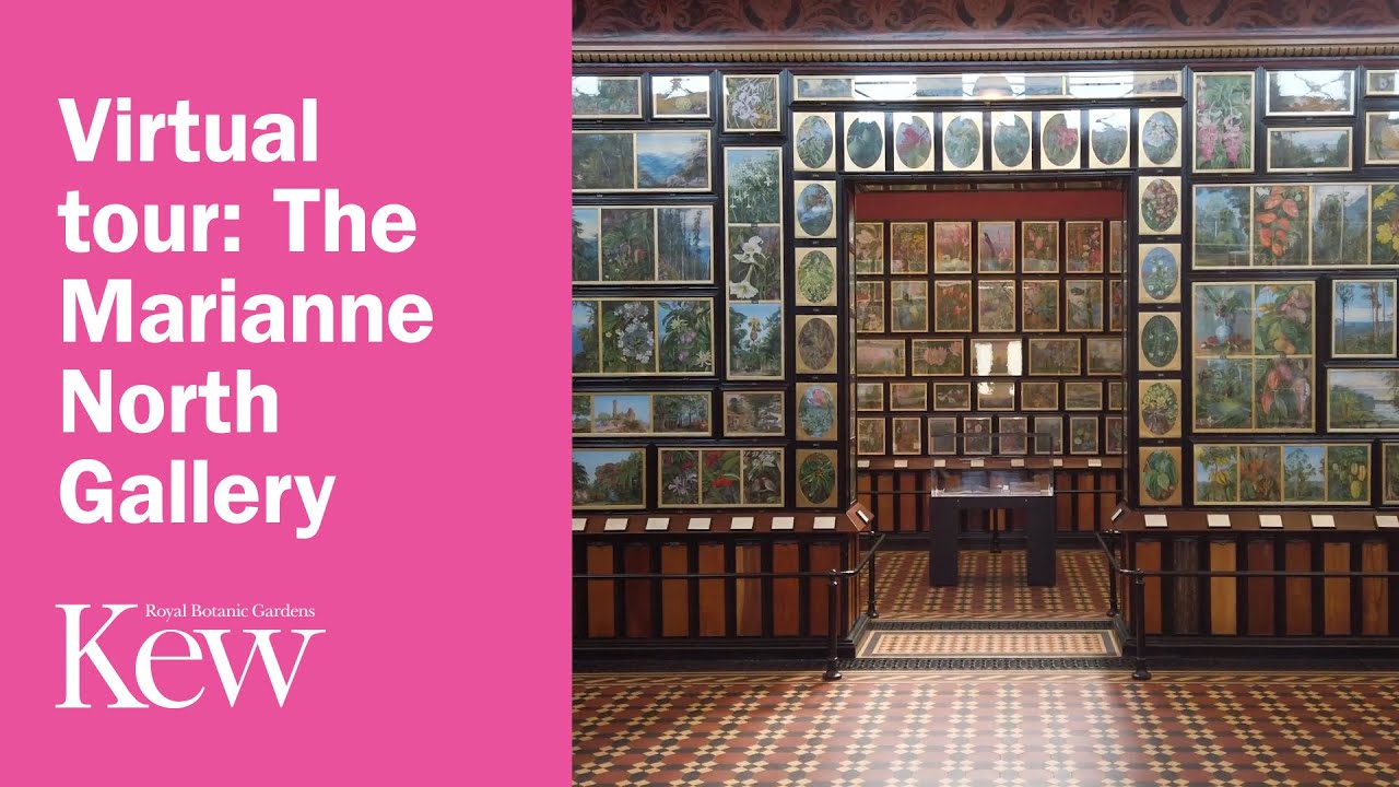Виртуальный тур: Галерея Марианны Норт