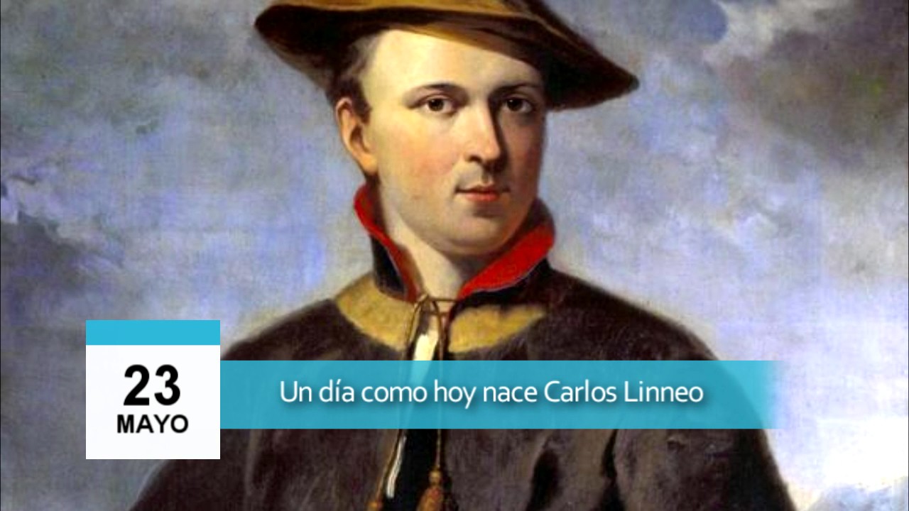 23 de mayo - Carlos Linneo