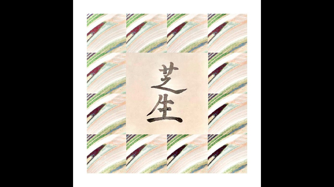 The Bikeway - 芝生 (Shibafu)