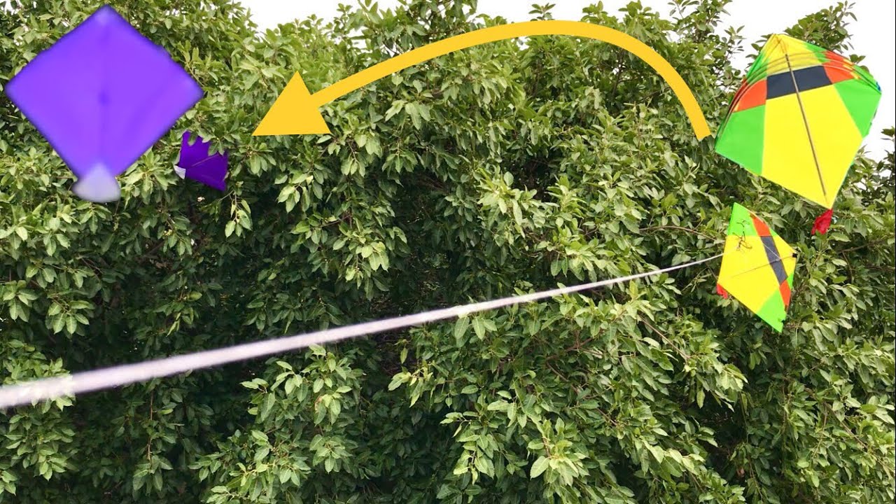 New Trick to caught kite catching