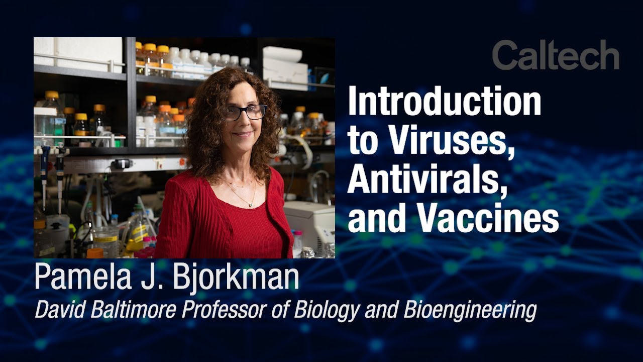 Intro to Viruses, Antivirals, and Vaccines - Dr. Pamela Bjorkman