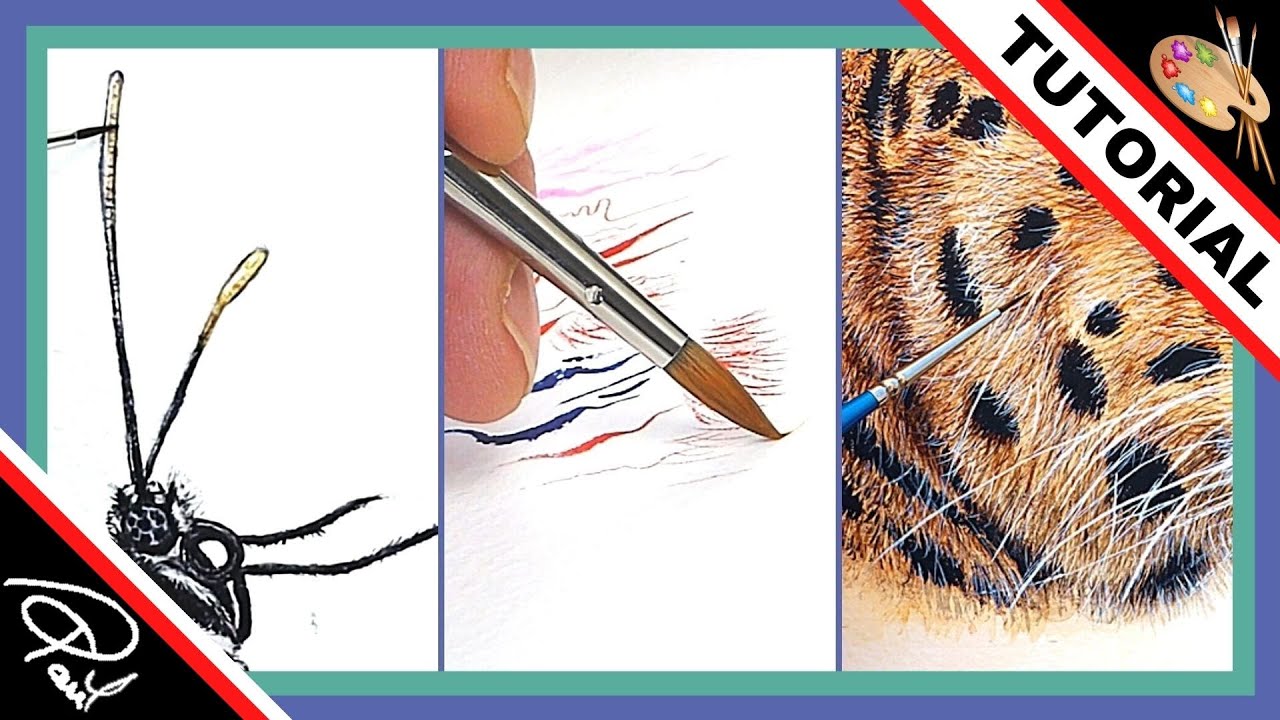 Watercolor Painting Techniques (6 Easy Steps to Fine Lines)