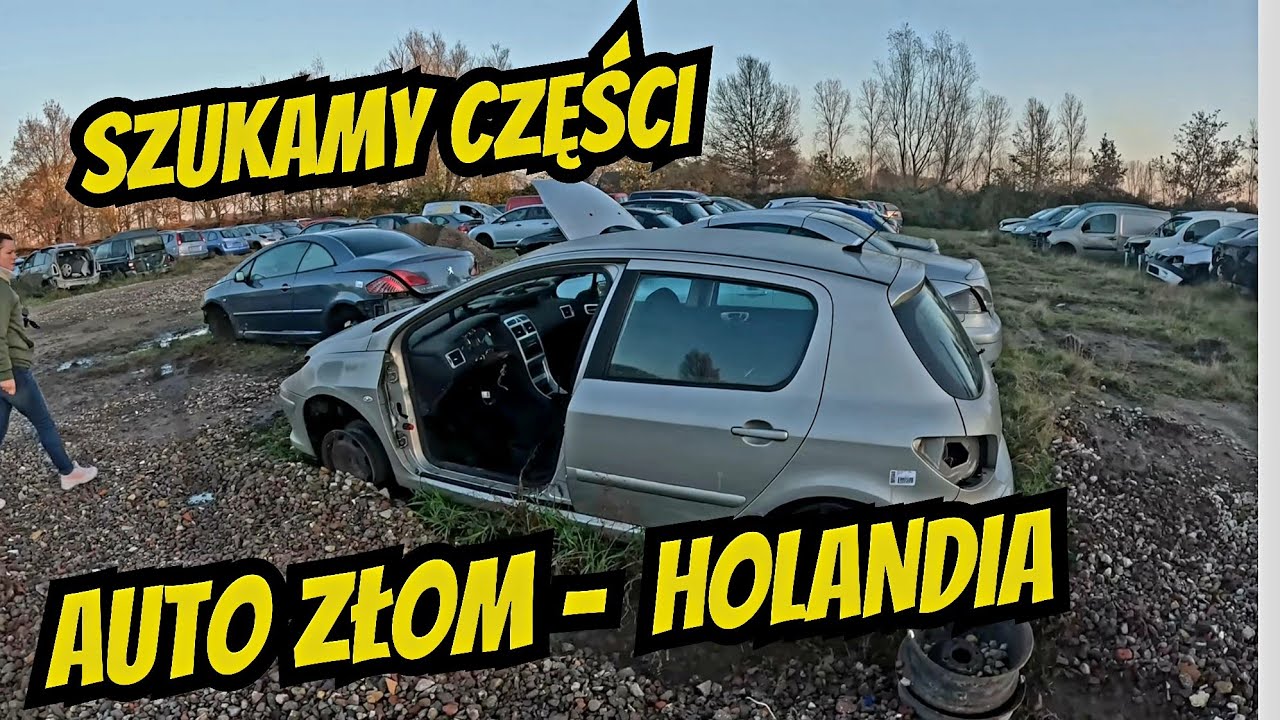 Przegląd oblany za pas bezpieczeństwa. Jedziemy na auto szrot w Holandii.