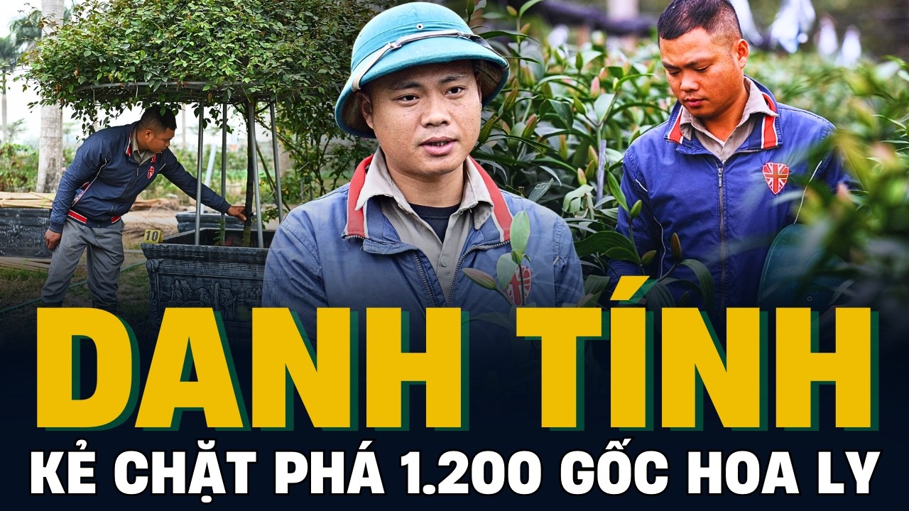 Bắt Hung Thủ Chặt Hơn 1200 Gốc Hoa Ly Sát Tết Bính Ngọ 2026. Trả Bình Yên Cho Nông Dân.